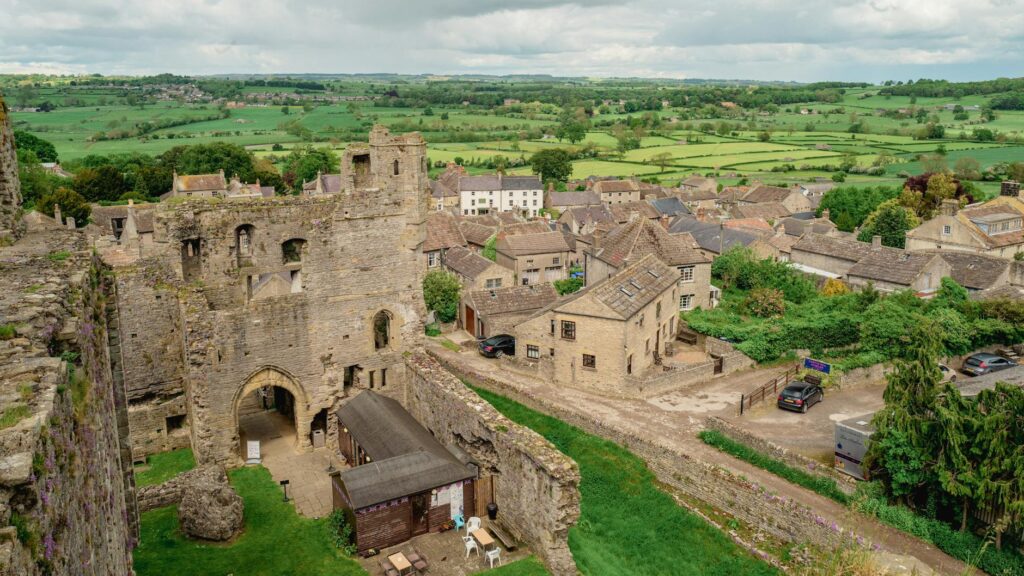 Courtney Richards professional