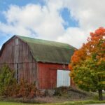 Garret Barnes professional