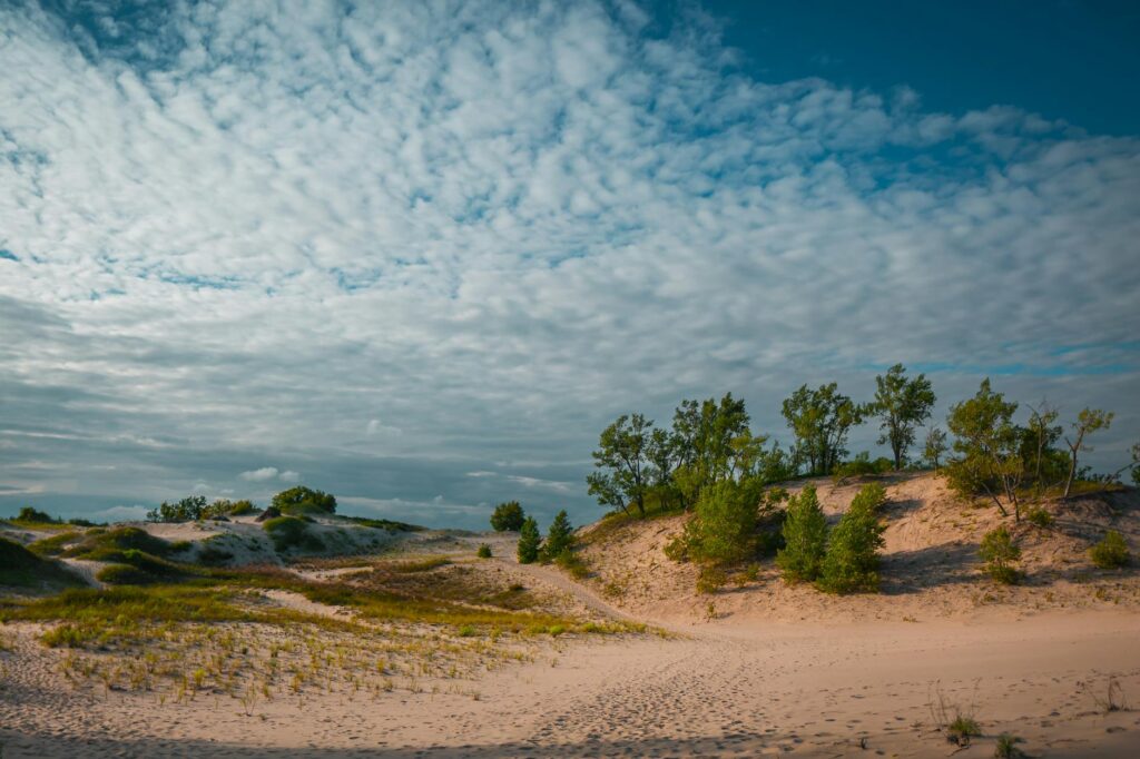 john edward thomas moynahan portrait