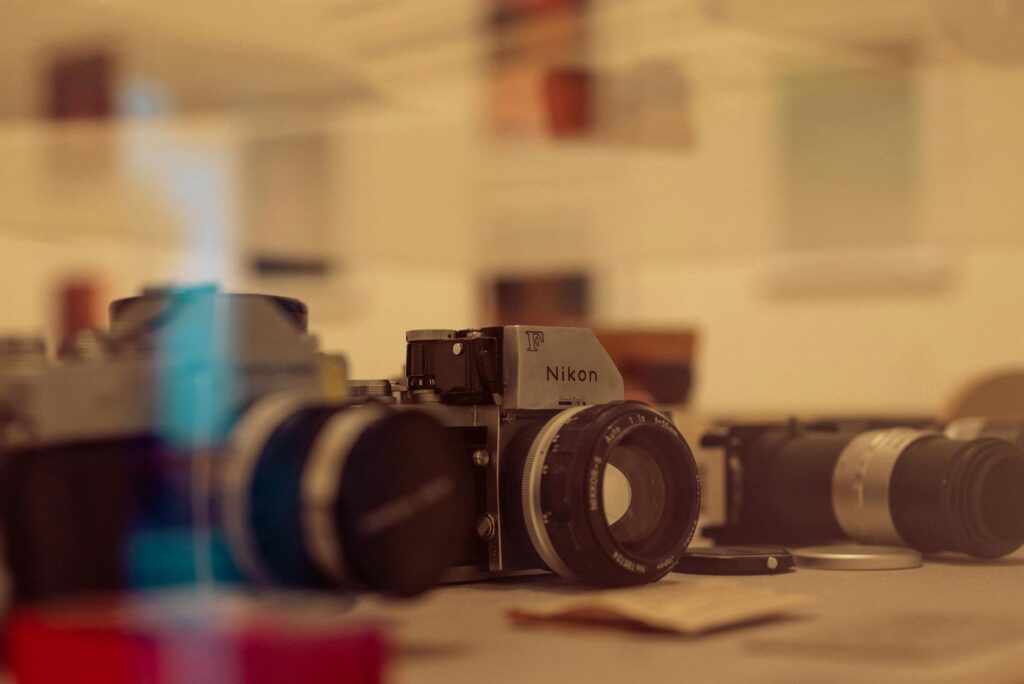 Nikon camera RAW file