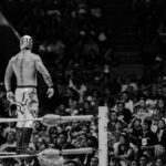 wwe saturday night main event arena